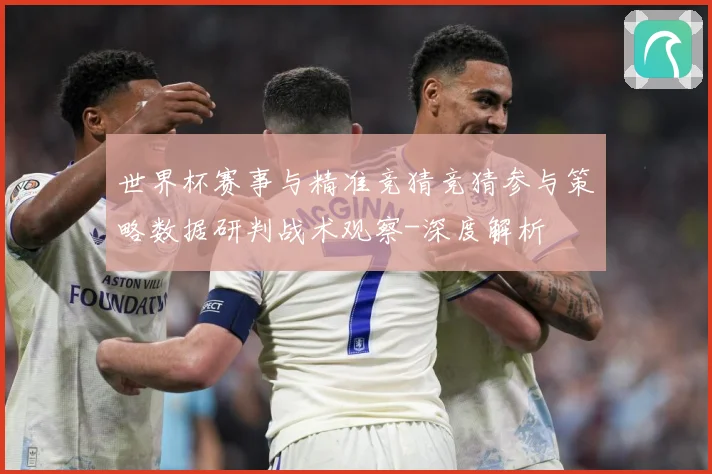 世界杯赛事与精准竞猜竞猜参与策略数据研判战术观察-深度解析