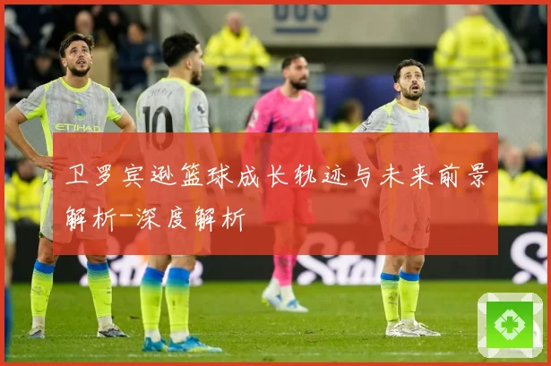卫罗宾逊篮球成长轨迹与未来前景解析-深度解析