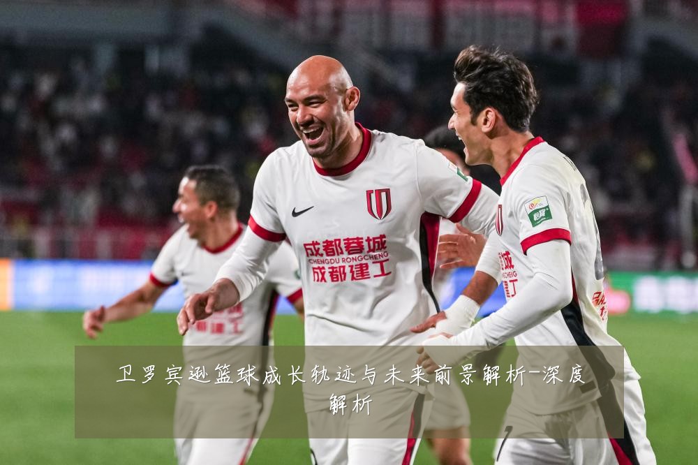 卫罗宾逊篮球成长轨迹与未来前景解析-深度解析